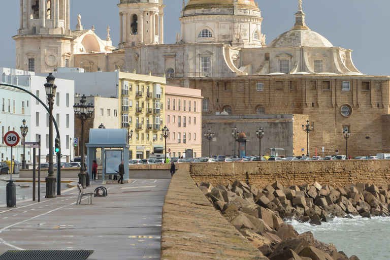 Cadiz: Private Walking Tour with Market Tasting for Cruises