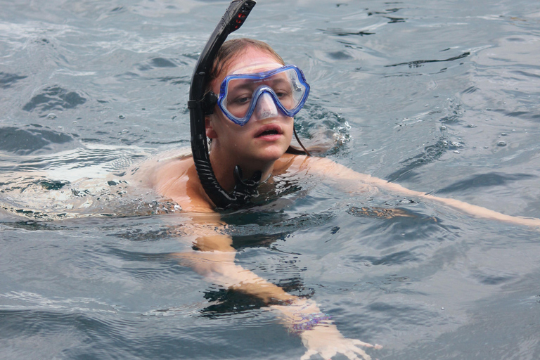 Ko Phi Phi Don : Excursion en bateau rapide avec plongée en apnée avec les requins