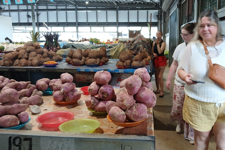 Nadi VIP Tour: Culture, Mud Baths, Massage & Lunch Nadi Airport Transit Zone & Votualevu