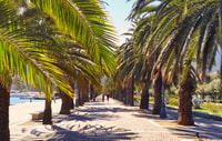 La Spezia, eine Sightseeing-Tour mit italienisch inspirierter Musik - Housity