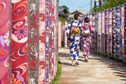 من أوساكا: جولة ليوم واحد في كيوتو ونارا وفوشيمي إناري وأراشياماTrip including Sagano Romantic Train