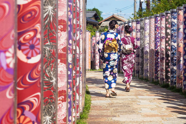 من أوساكا: جولة ليوم واحد في كيوتو ونارا وفوشيمي إناري وأراشياماTrip including Sagano Romantic Train