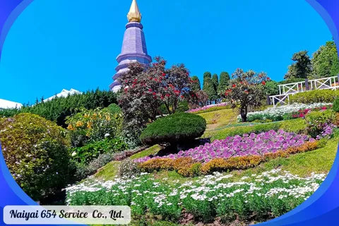 Chiang Mai: Doi Inthanon One-Day Tour with a Private Driver