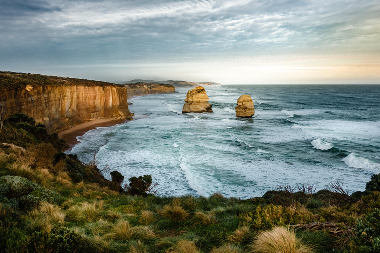 Desde Melbourne: Excursión guiada de un día a Great Ocean Road