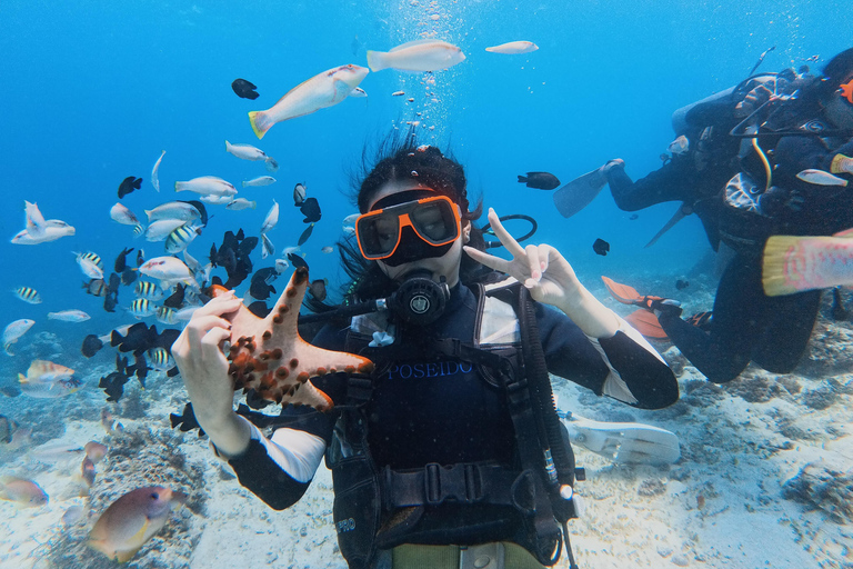 Cebu: Discover Scuba Diving Experience with Hotel Pickup