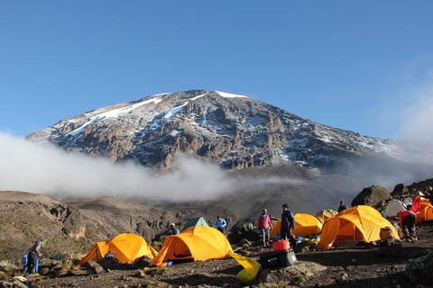 Kilimanjaro: 7-dagars vandring på Lemosho Route med transfer