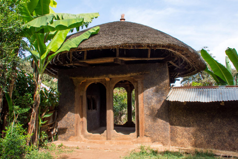 Bahir Dar: 3-Day Northern Ethiopia Cultural & Scenic Tour