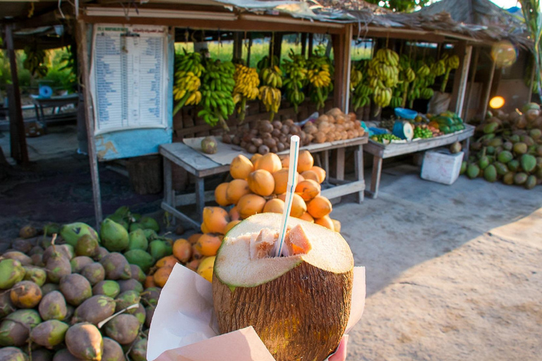塞拉莱：私人 4 小时观光游与英语或阿拉伯语导游一起游览