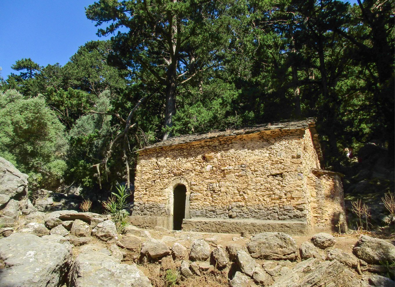 Fra Chania: Heldagsudflugt i Samaria-kløften med guide