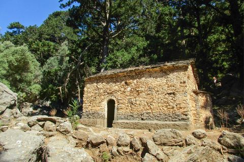 De Chania: Caminhada de 1 Dia à Garganta de SamariáDe Kalyves ou Almyrida