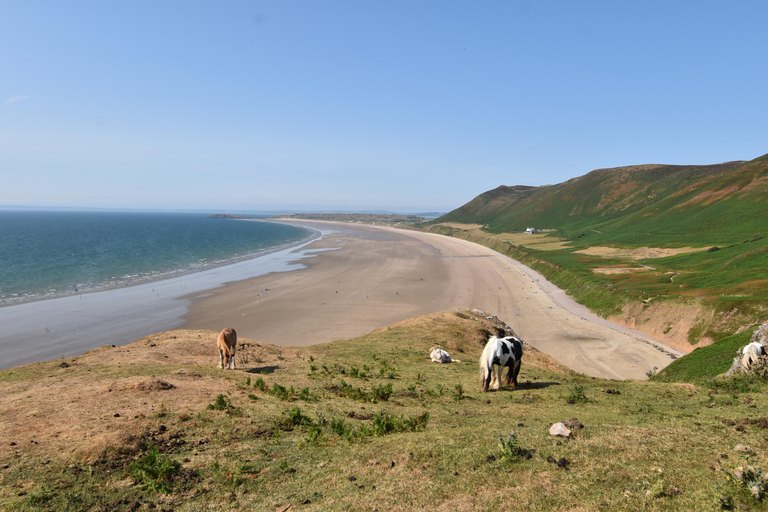 Cardiff: Private Day Trip to Mumbles and Gower Peninsula