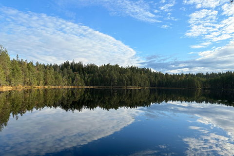 Uppvaknande av fem sinnen i den finska naturen (+traditionell bastu)