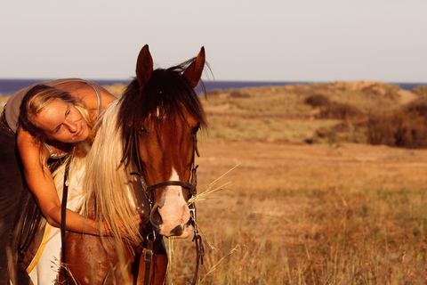 Isla de Porto Santo: Paseos a caballo180 min Aventura