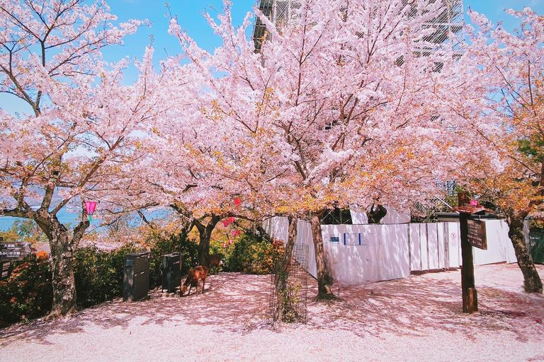 Hiroshima & Miyajima Island: Small Group Full-Day Sightseeing Tour