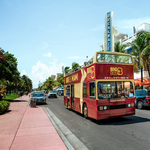 Miami: Hop-on Hop-off Tour with 9 Stops and Optional Cruise