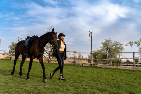 Dubai: Al Marmoom Oasis Horse Riding Experience with Snack 30-Minute Horse Ride with Hotel Pickup and Drop-Off