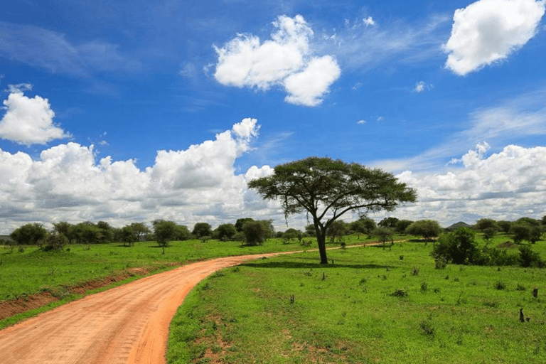 Arusha : expérience culturelle et safari masaï de 5 joursArusha : expérience culturelle masaï et safari de 5 jours