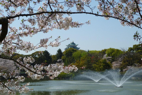 From Tokyo: Ghibli Park & Nagoya City Tour with Expert Guide