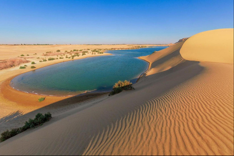 From Cairo: 4x4 Desert Safari, Waterfalls & Magic Lake Shared Tour: Wadi El Rayan, Magic Lake & Lake Qarun, Jeep
