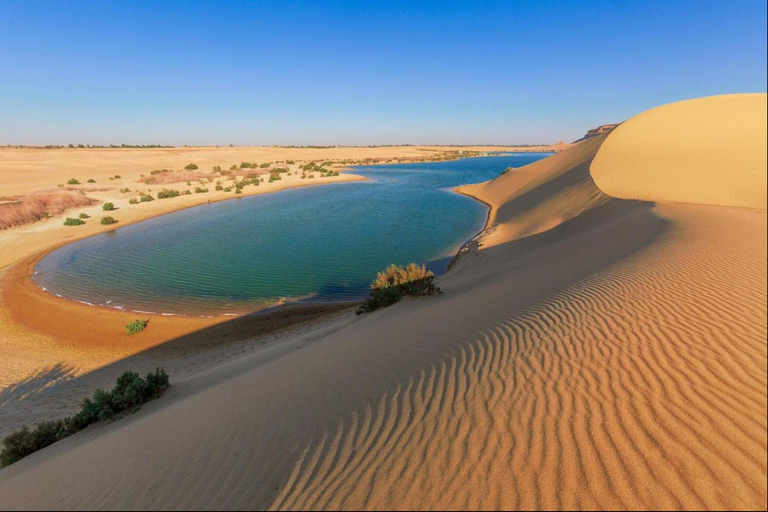 From Cairo: 4x4 Desert Safari, Waterfalls & Magic Lake Shared Tour: Wadi El Rayan, Magic Lake & Lake Qarun, Jeep