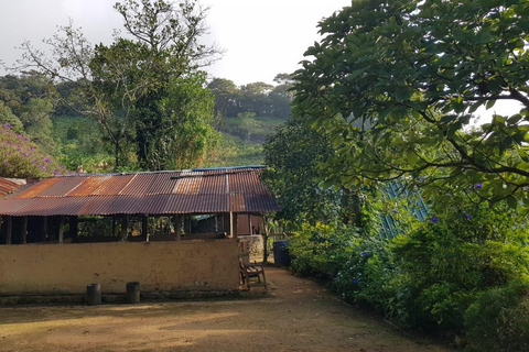 纳克尔斯峰探险和希洛亚村露营 2 日游