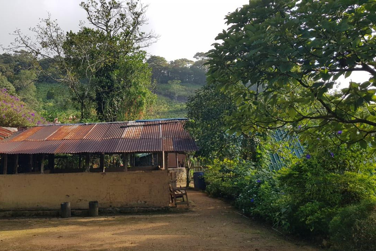 纳克尔斯峰探险和希洛亚村露营 2 日游