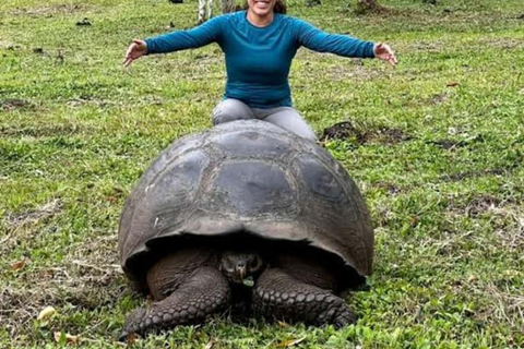 ZANZIBAR: Wyspa Więźniów, Las Jozani i Rezerwat Żółwi MorskichWycieczka prywatna z transferem z hotelu i wszystkimi opłatami za wstęp w cenie.