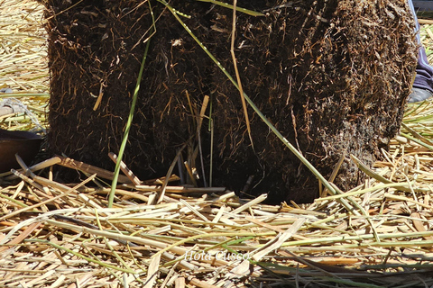 2-Day Tour from Puno: Uros, Amantani, and Taquile Islands