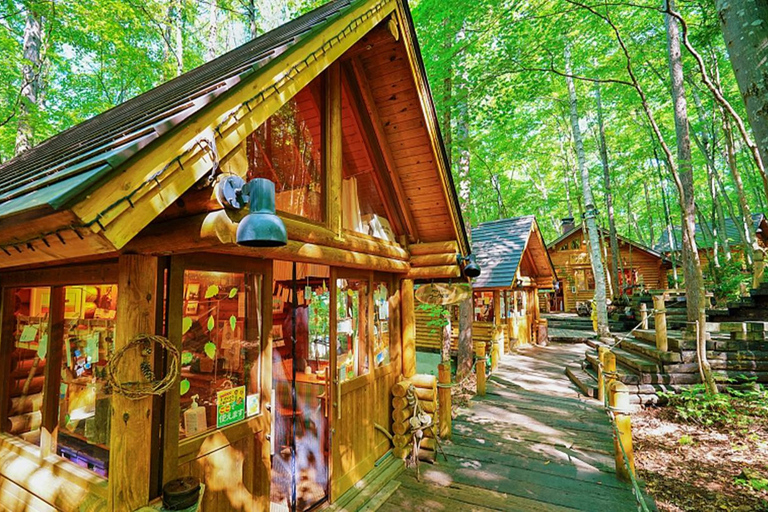 Excursion d&#039;une journée à Hokkaido : Zoo d&#039;Asahiyama, Biei et terrasse de Ningle