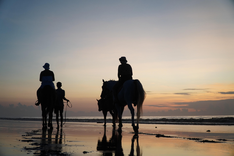 Bali: Bali Beach Horse riding Experience Horse Riding Beach 1 Hour No Transport