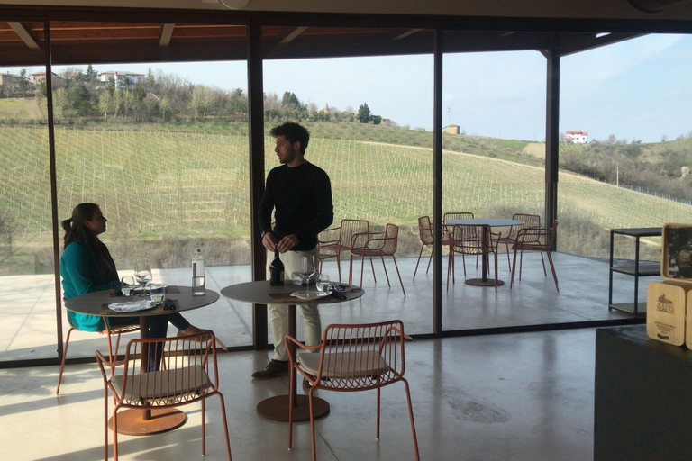 De Florence: visite de l'usine de parmesan et de vinaigre balsamique