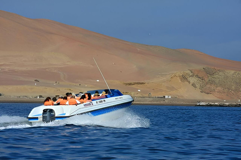 Paracas: Tur till de ballastrika öarna