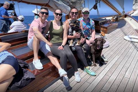 San Diego: Rejs z obserwacją wielorybów na jachcie America