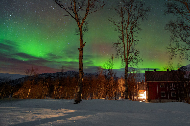 From Narvik: The Northern Lights Arctic Train Guided Tour