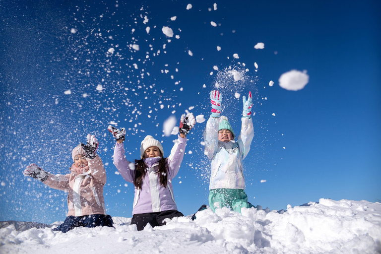 From Nagoya: Snow Day in the Japan Alps & Shirakawago Nagoya (tour + rental snow wear)