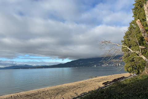 Vancouver City Tour+Stanley Park+Granville Island+China+Gas
