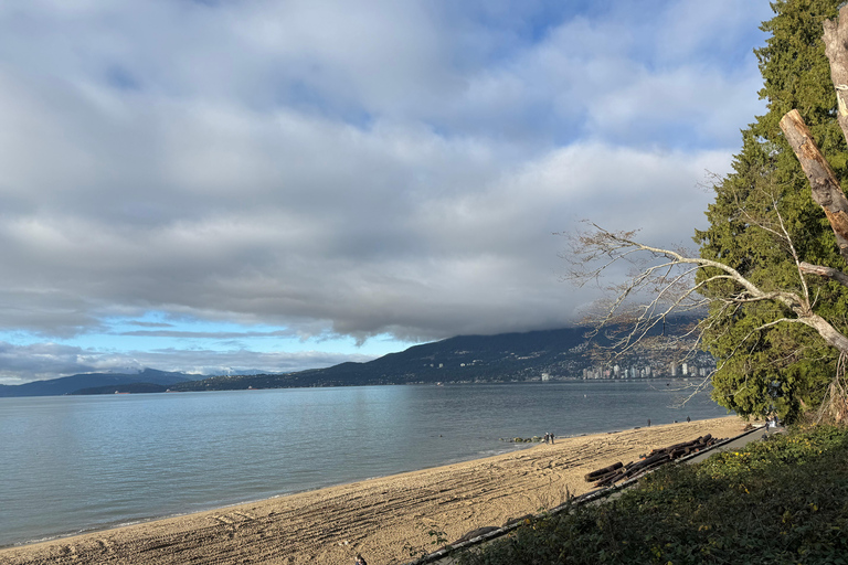 Vancouver City Tour+Stanley Park+Granville Island+China+Gas