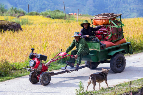 Mu Cang Chai 2 Days Tour Trekking Terraced Rice Field