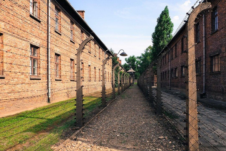 Från Krakow: Transport tur och retur till Auschwitz BirkenauSjälvstyrd guidad tur med broschyr på engelska