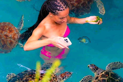Zanzibar: Salaam Cave, Jozani Forest & The Rock Restaurant Self Transfer Experience