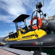 Dún Laoghaire: Guided Sea Safari to Bray Head.