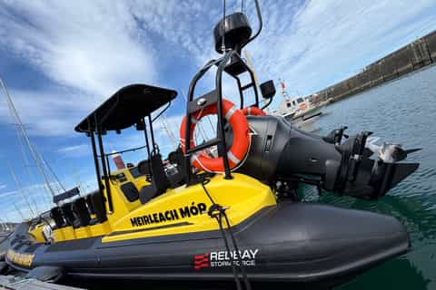 Dún Laoghaire: Guided Sea Safari to Bray Head. - Image 3