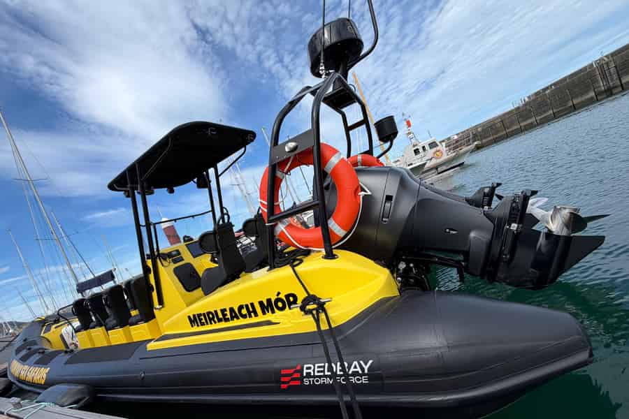 Dún Laoghaire: Geführte Meeressafari nach Bray Head.. Foto: GetYourGuide Dún Laoghaire: Geführte Meeressafari nach Bray Head.. Foto: GetYourGuide