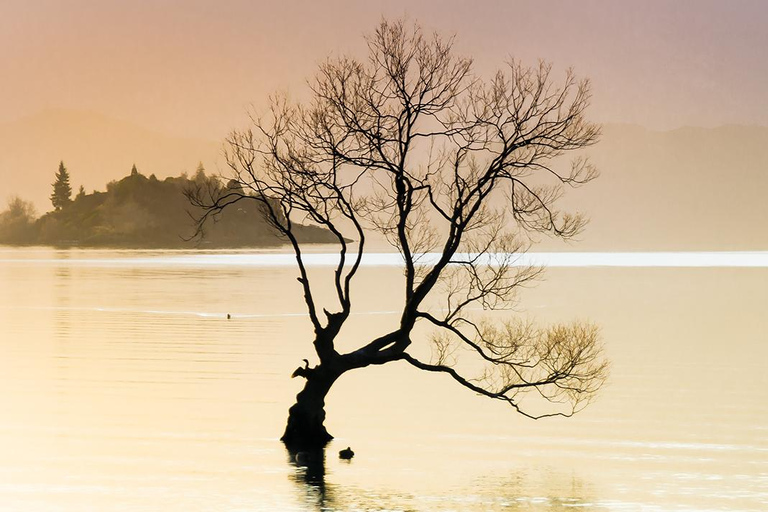 Queenstown and Environs: Full Day Private Photography Tour Queenstown: Full Day Private Photography Tour