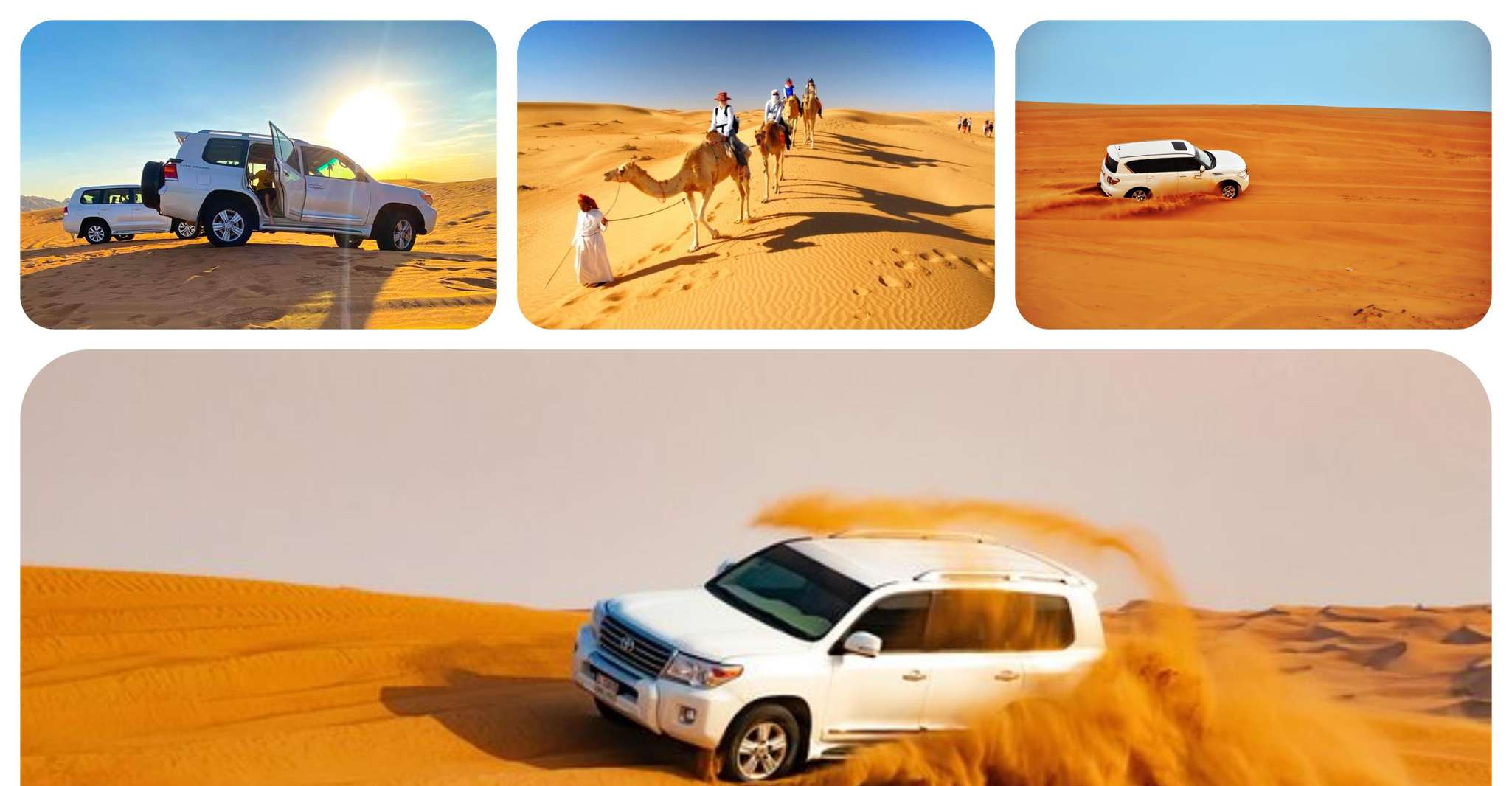 Doha, Desert Safari w/ Sand Boarding, Camel Ride, Inland sea - Housity