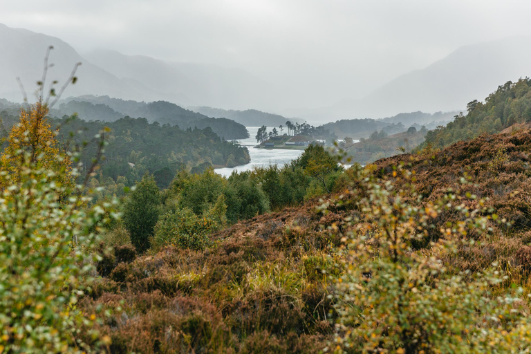 Från Inverness: Glen Affric, Culloden och Clava Cairns Tour