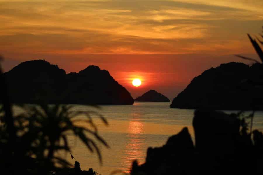 Lan-Ha-Bucht: Kajaktour mit biolumineszierendem Plankton. Foto: GetYourGuide