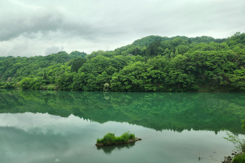 Tokyo: Nagano, Snow Monkeys and Zenko-ji Temple Private Tour