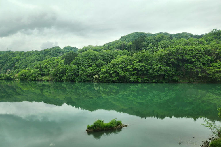 Tokyo: Nagano, Snow Monkeys and Zenko-ji Temple Private Tour