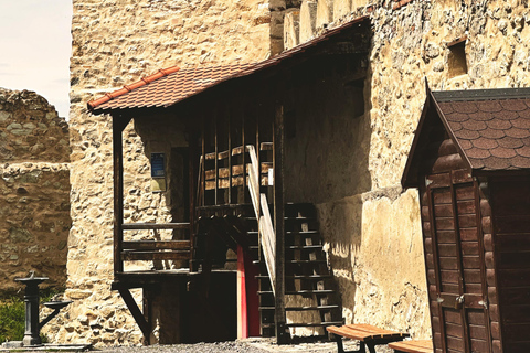 From Brasov: Hidden Gems of Transylvania & Sighisoara